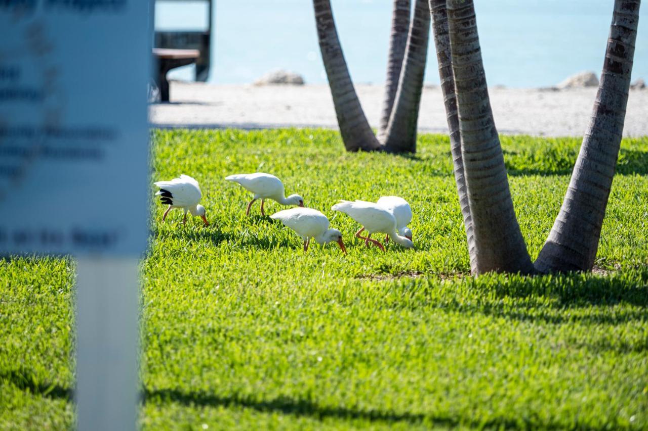 Villa Newly Renovated 3Br2Ba Duplex With Private Dock Key Colony Beach Exterior foto